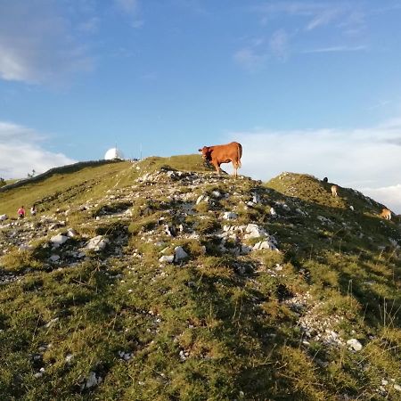 Cahute De Montagne Pour Profiter Du Haut Jura Premanon Ngoại thất bức ảnh