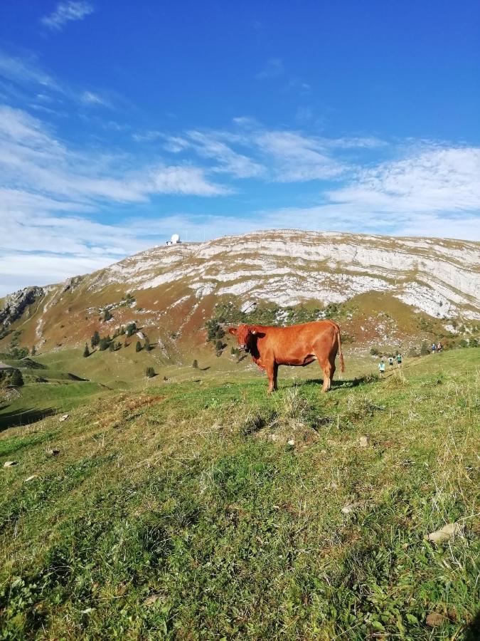 Cahute De Montagne Pour Profiter Du Haut Jura Premanon Ngoại thất bức ảnh