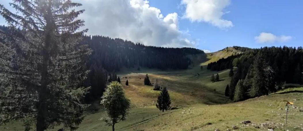 Cahute De Montagne Pour Profiter Du Haut Jura Premanon Ngoại thất bức ảnh